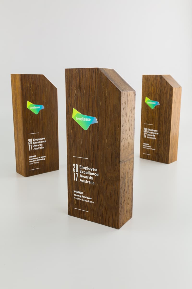 Eco- friendly wooden awards 6