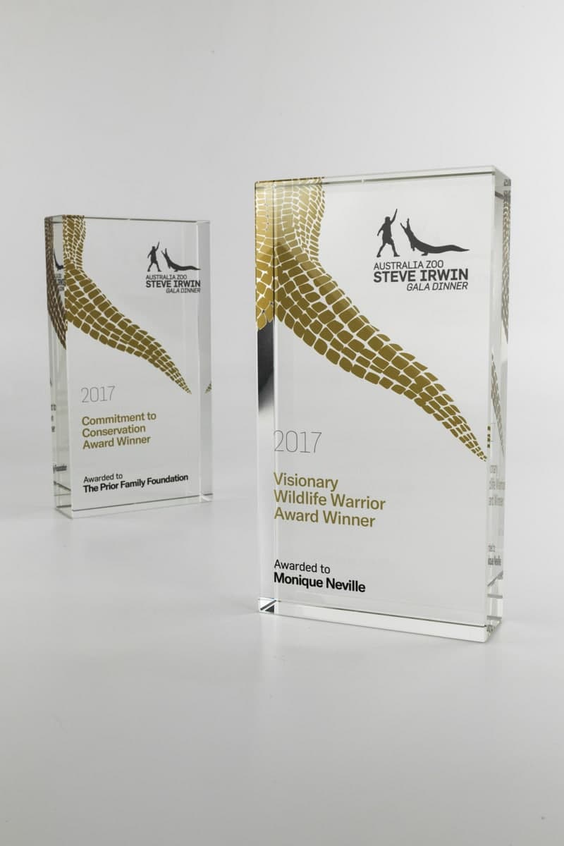 Plexiglass Rectangular awards 7