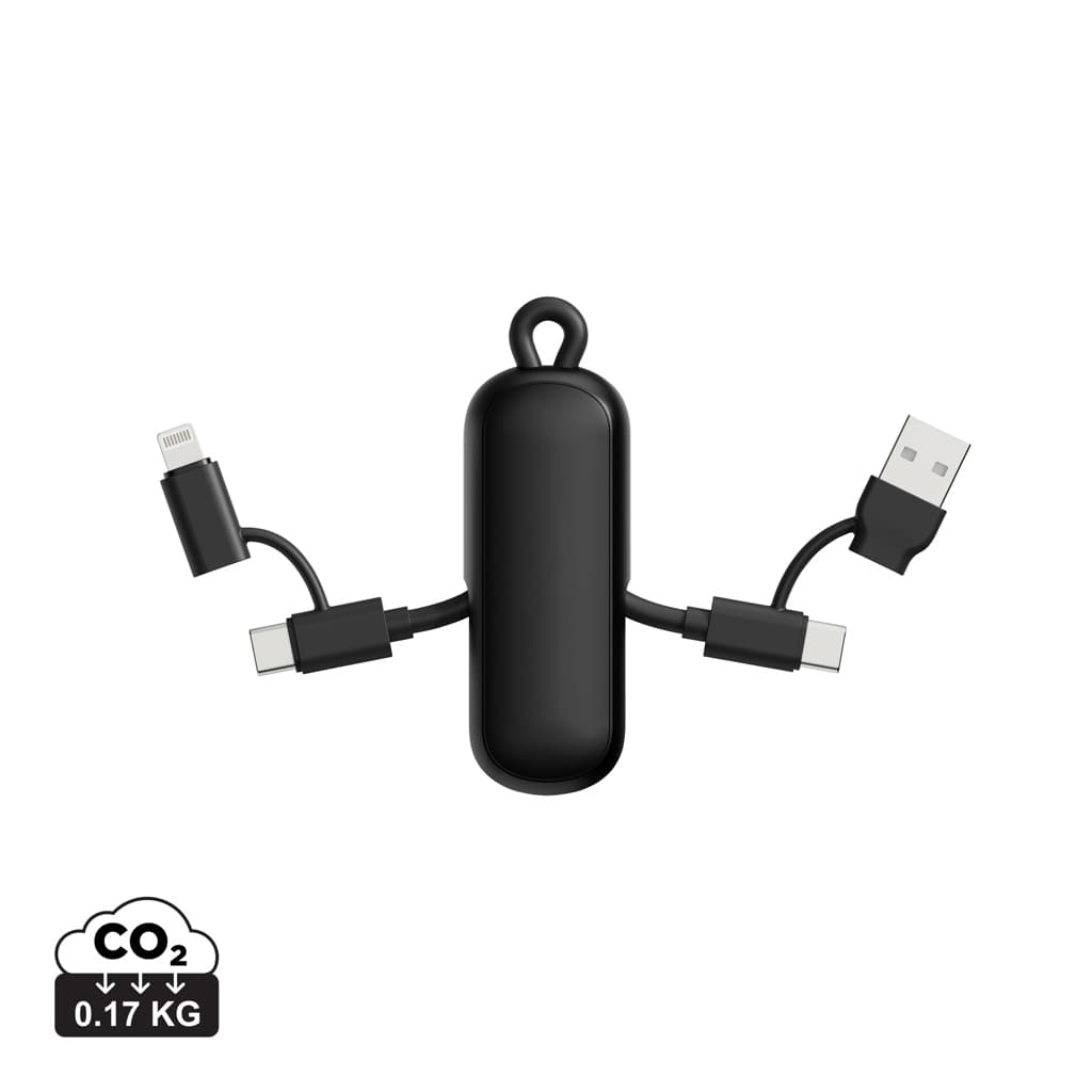 Urban Vitamin Dublin 100W 4 -in-1 keychain cable