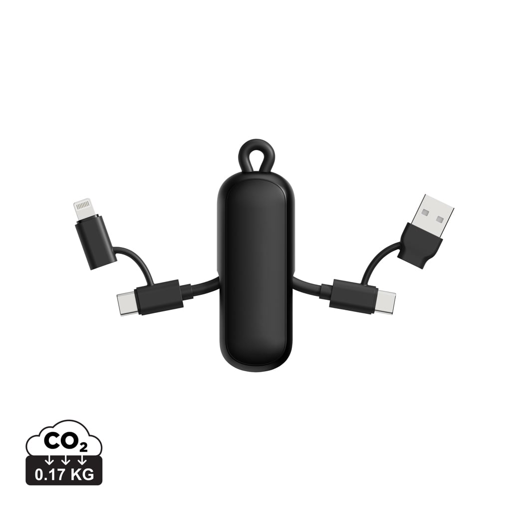 Urban Vitamin Dublin 100W 4 -in-1 keychain cable