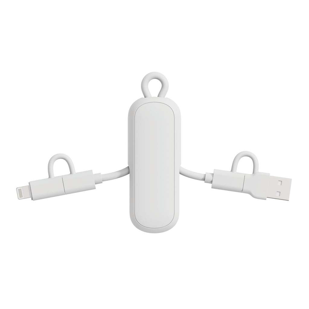 Urban Vitamin Dublin 100W 4 -in-1 keychain cable