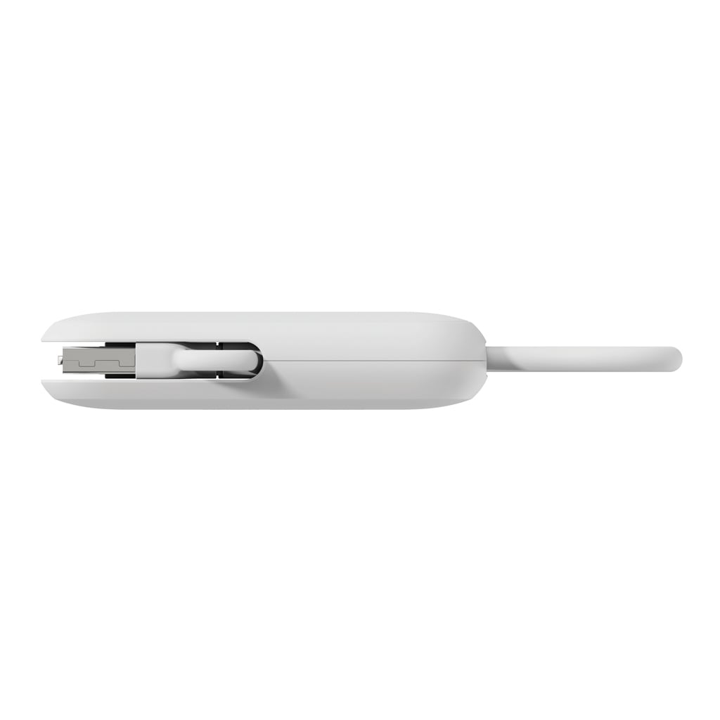 Urban Vitamin Dublin 100W 4 -in-1 keychain cable