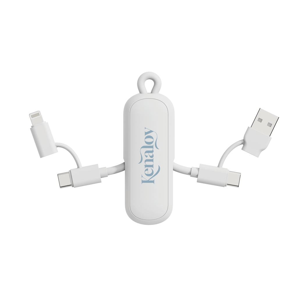 Urban Vitamin Dublin 100W 4 -in-1 keychain cable