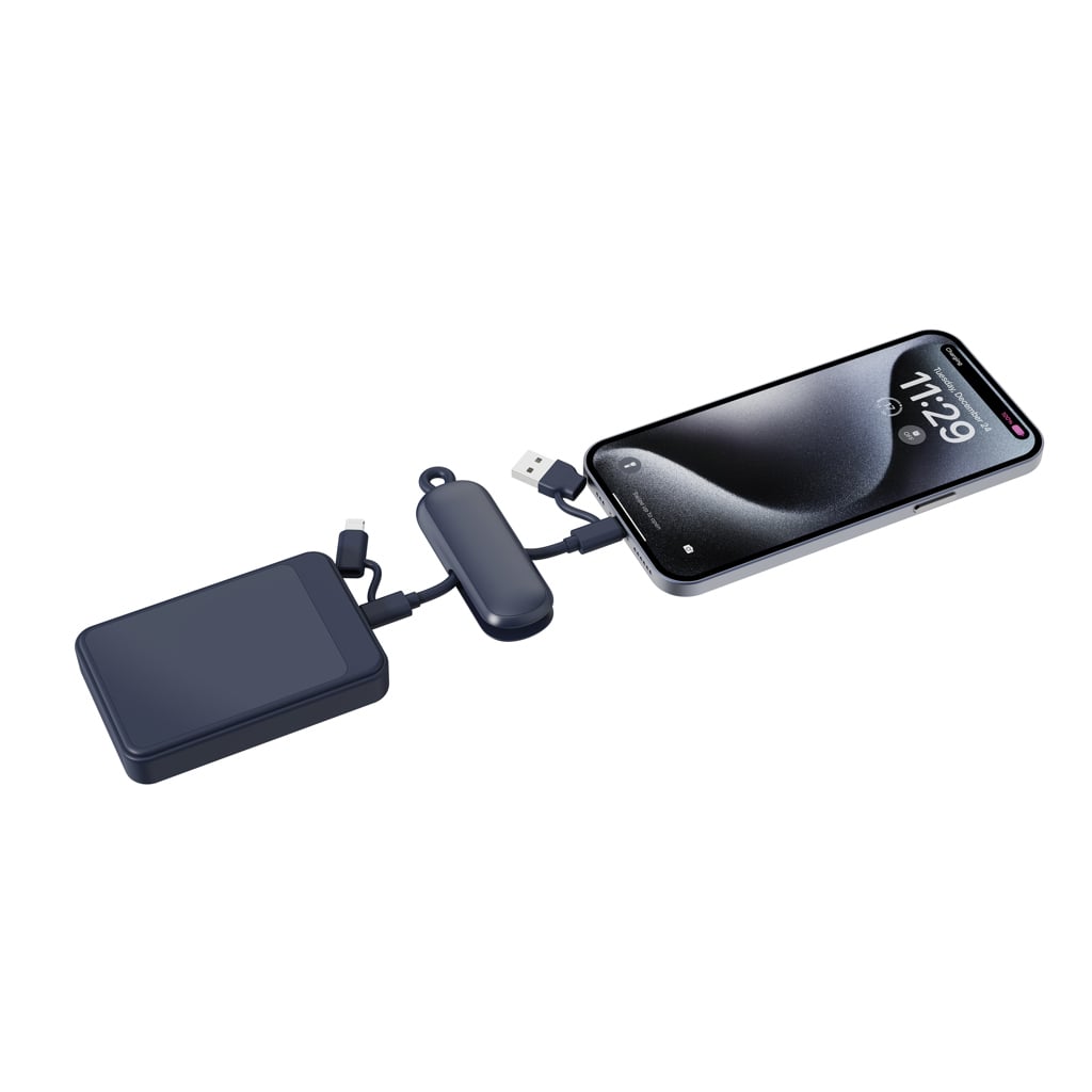 Urban Vitamin Dublin 100W 4 -in-1 keychain cable